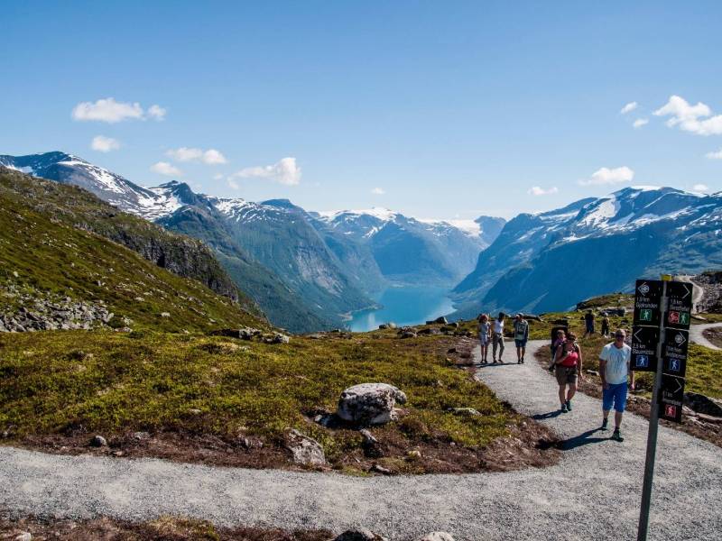 A group of people walking